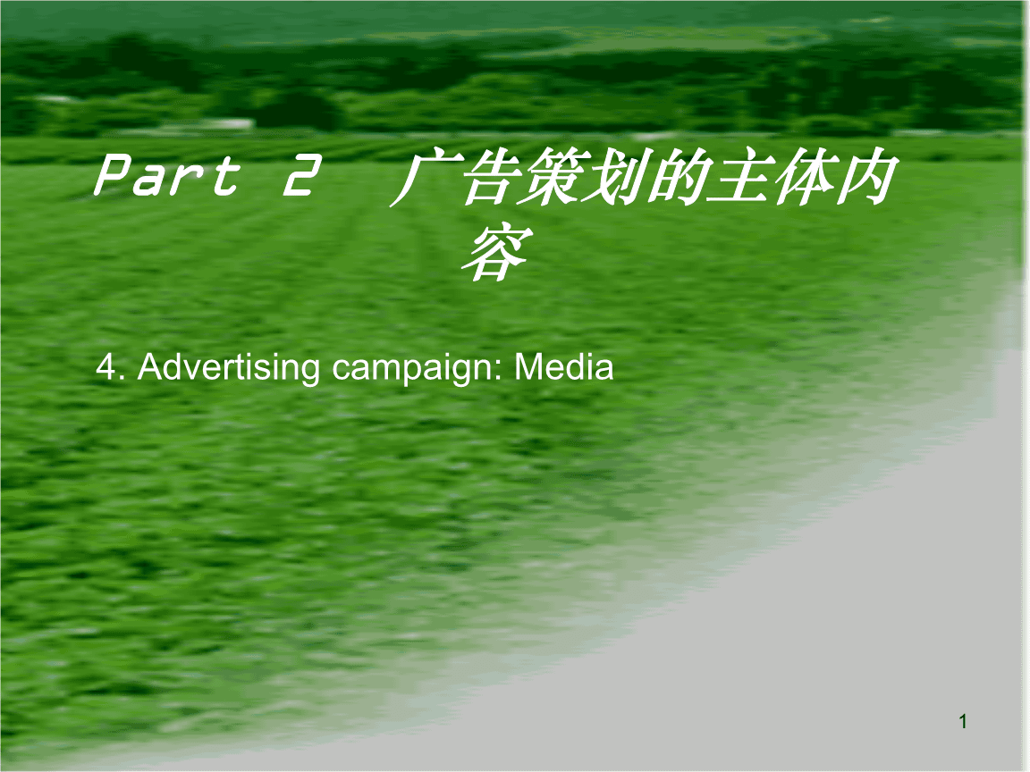 【广告策划-PPT】广告媒介策略