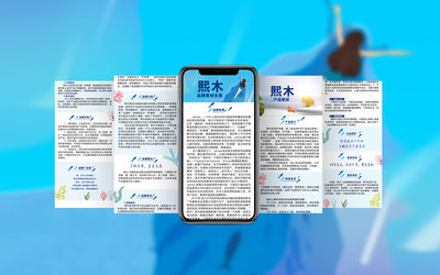 墨家品牌策划品牌故事营销公司简介产品定位广告语创意文案写文案